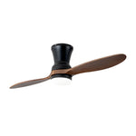 2 Blades 18W Modern Ceiling Fan Ha086021