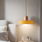 Modern Led Ceiling Chandelier Nordic Simple Bedroom Dining Room Decor 25Cm 35Cm Pendant Lamp