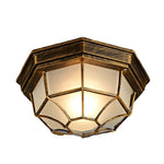 Outdoor Led European Style Ceiling Light Ha085327