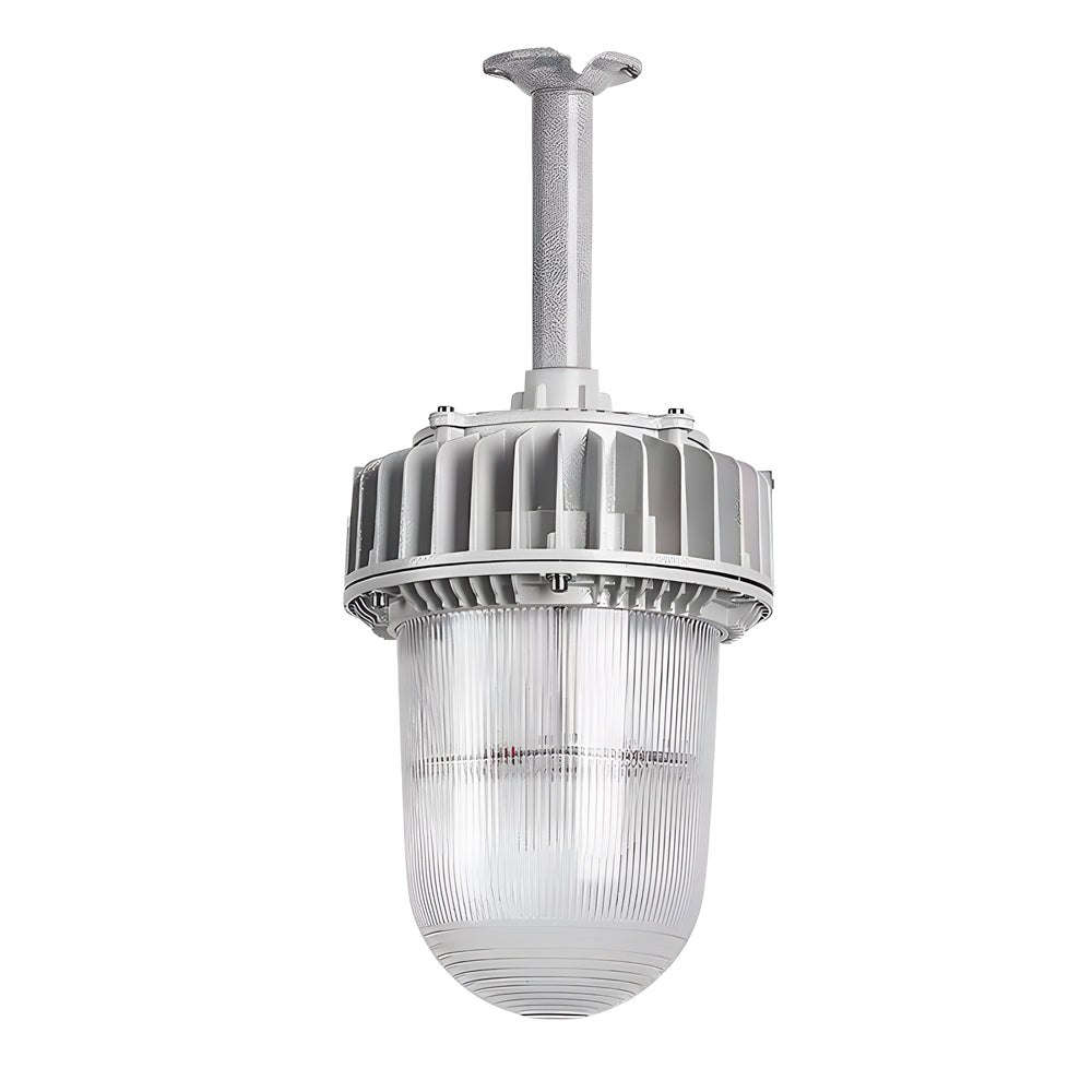 Industrial Led Explosion Proof Light Pendant Light For Hazardous Areas 50W 100W