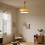 Creative Simple Persimmon Shape Pendant Light