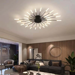 Fireworks Ceiling Lights
