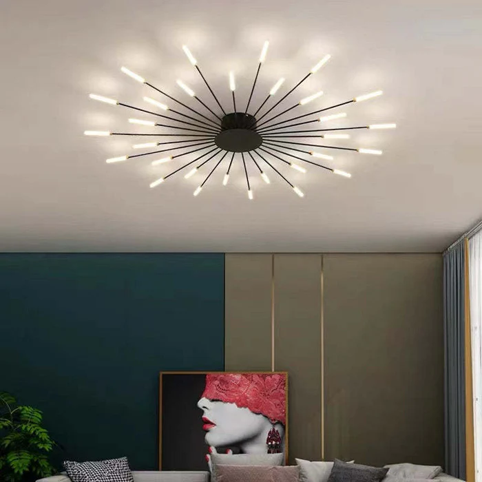 Fireworks Ceiling Lights