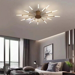 Fireworks Ceiling Lights