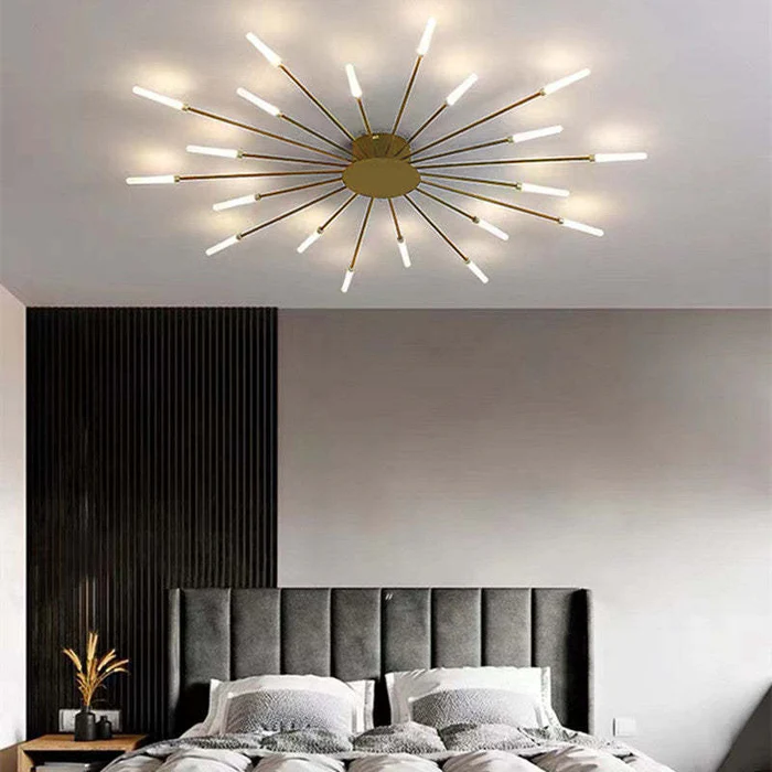 Fireworks Ceiling Lights
