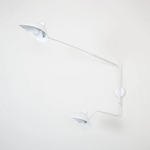 Chic Double Head Wall Lamp