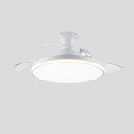 Sleek Flush Mount Ceiling Fan With Led Light