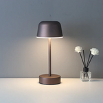 Modern Simple Sleek Metal Table Lamp