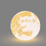Lunar Garden Outdoor Pendant Light