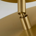 Axiom Rotating Ceiling Light