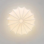 Haze Globe Ceiling Lamp