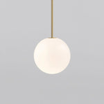 Brassform Pendant Light