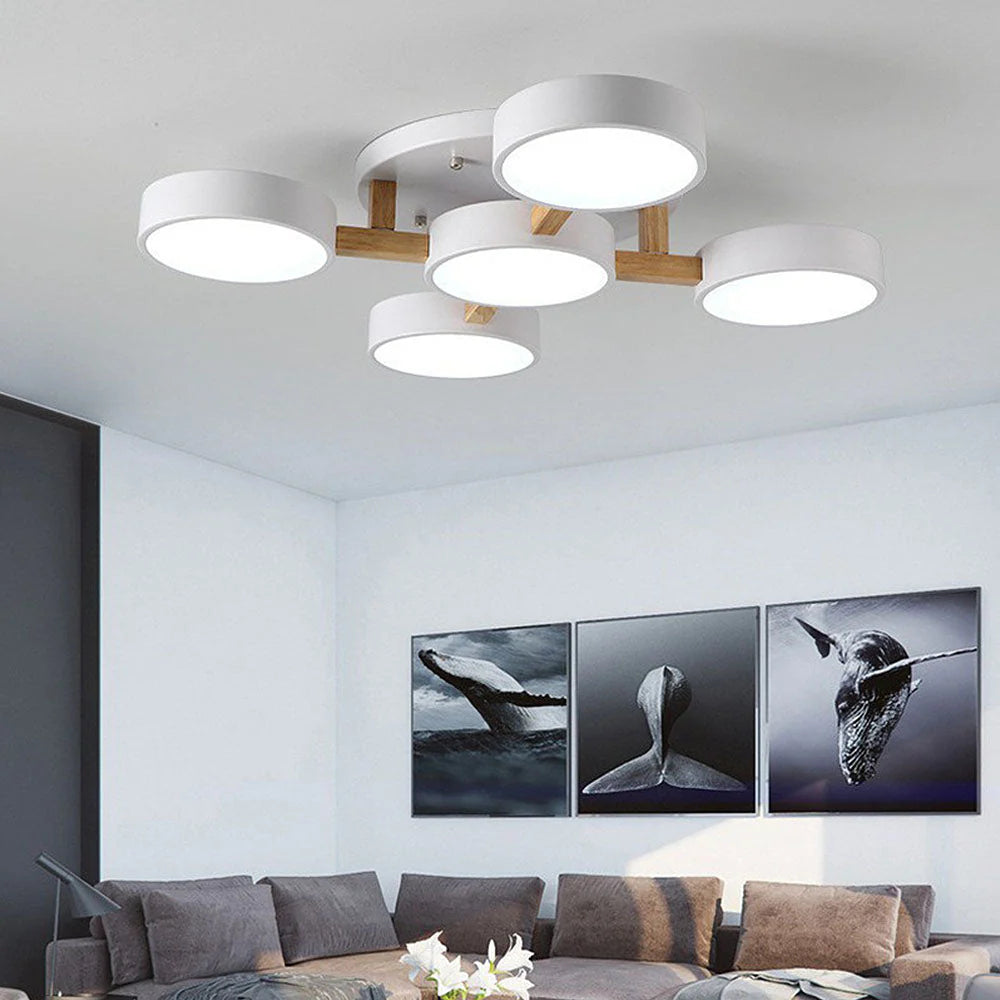 Lumi Cluster Acrylic Ceiling Light