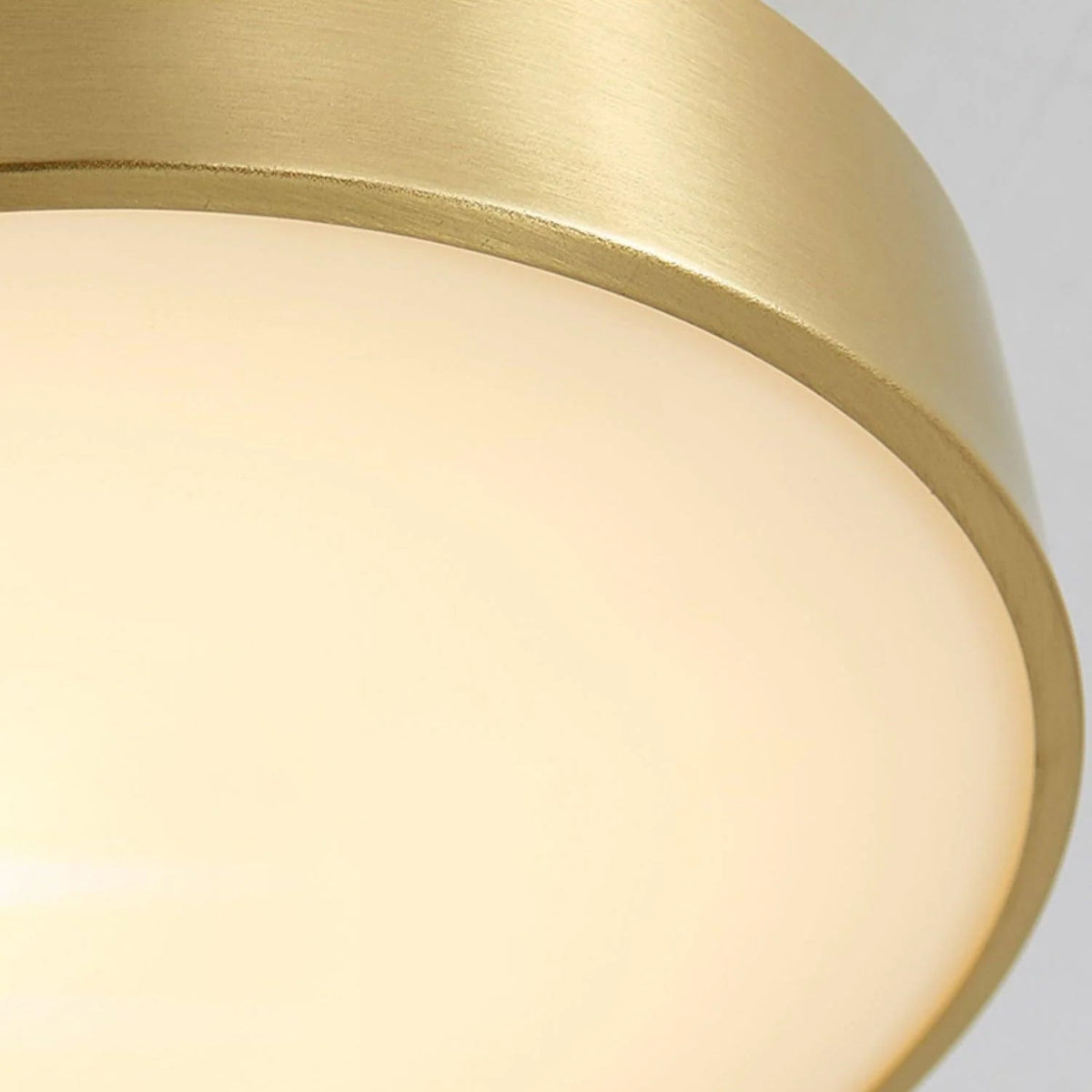 Axiom Rotating Ceiling Light