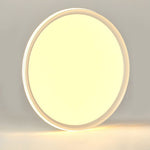 Lighting Ceiling Lights Flush Mount Lighting_Tli00168