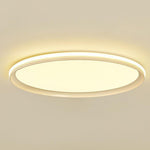 Lighting Ceiling Lights Flush Mount Lighting_Tli00168