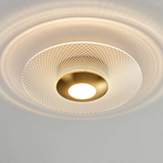 Modern Geometric Grain Ceiling Light