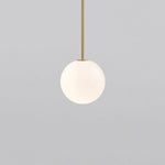 Brassform Pendant Light