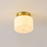 Clerio Glow Ceiling Light