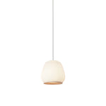 Woven Lantern Pendant Light