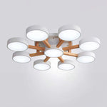 Lumi Cluster Acrylic Ceiling Light
