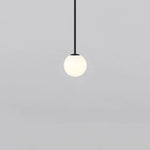 Brassform Pendant Light