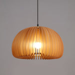 Pumpkin Shaped Pendant Light Li001916