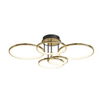 Rings Modern Ceiling Lights With Leather Ha098316