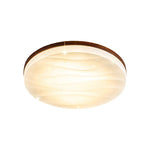 Wood Modern Led Ceiling Light Li002617