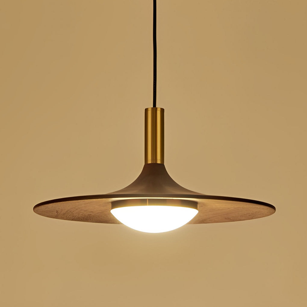 Flying Saucer Shape Pendant Lights Ha077895