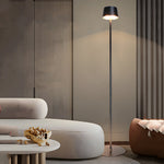 48 8 In Black Touch Dimming Led Rechargeable Floor Lamp