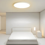 Lighting Ceiling Lights Flush Mount Lighting_Tli00236