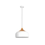 Dome Pendant Light With Wood Detail Modern 1 Light Island Fixture