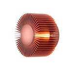Sun Flowers Led Wall Light Ha097960