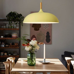 Modern Simple Dome Pendant Light