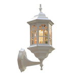 Glass European Style Outdoor Wall Lamp Li002333