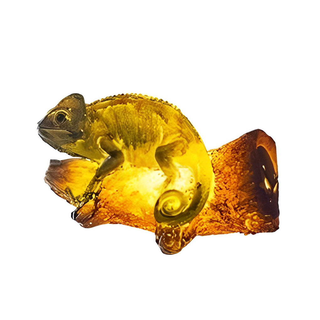 Animal Shape Outdoor Lights Ha080331