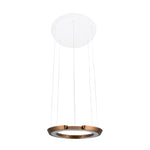 Modern Led Ring Shaped Pendant Light With Acrylic Shades For Living Room