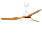 Lighting Ceiling Lights Ceiling Fans_4Huqc