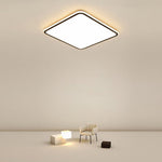 Lighting Ceiling Lights Flush Mount Lighting_Tli00232