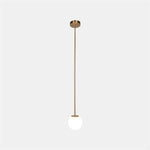 Brassform Pendant Light