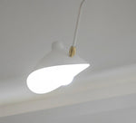 Celestial Curve Ceiling Light