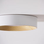 Calen Minimalist Ceiling Lamp