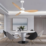 3 Blades Ceiling Fans With Lights Ha086005