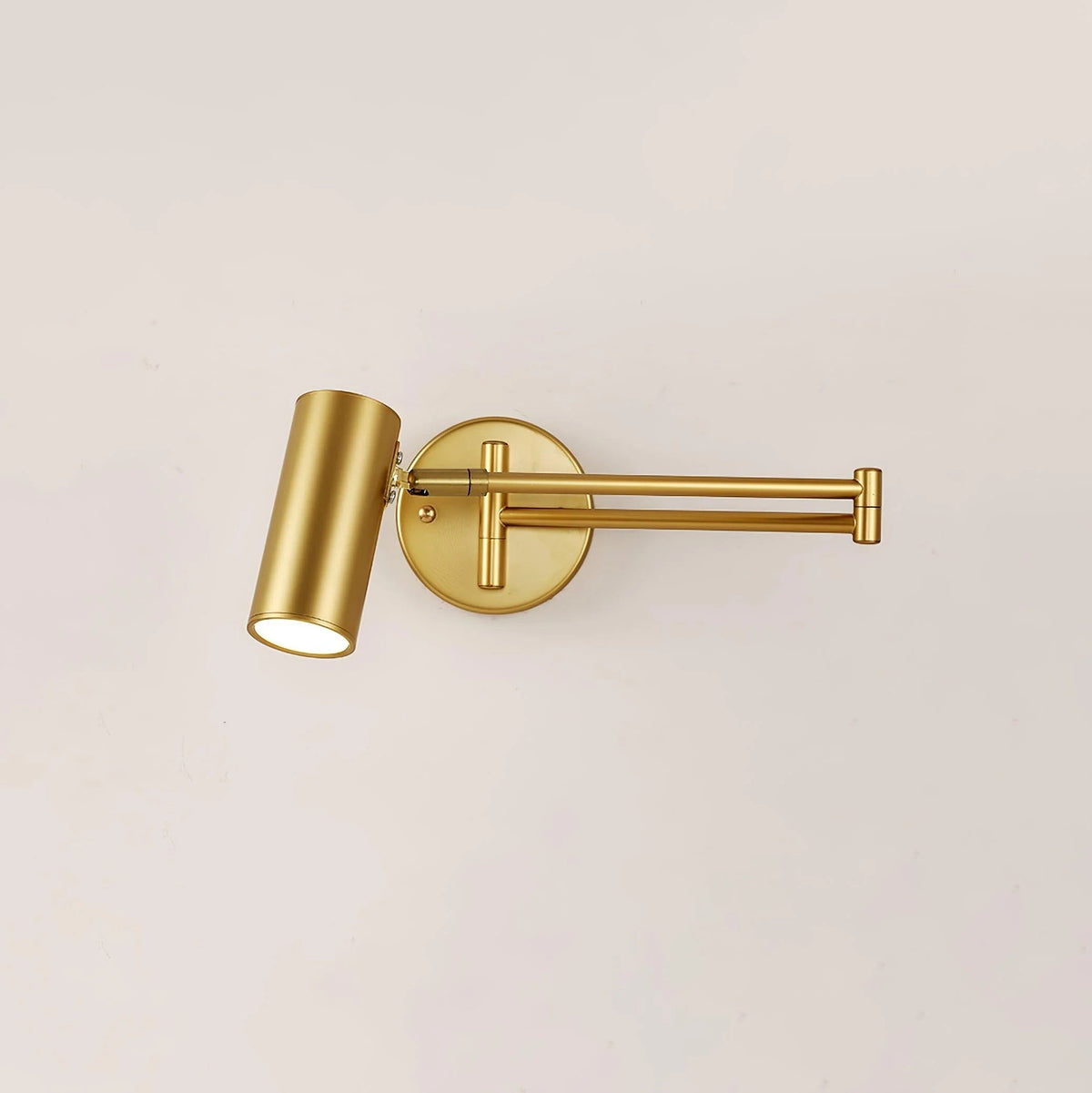 Flexible Arm Wall Light