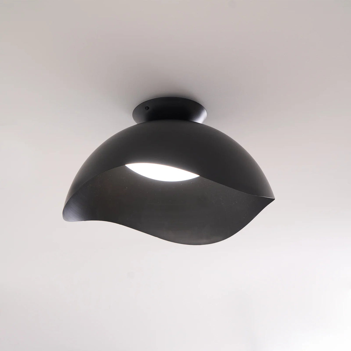 Tranquil Flow Ceiling Light