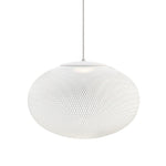 Filament Mesh Pendant Light
