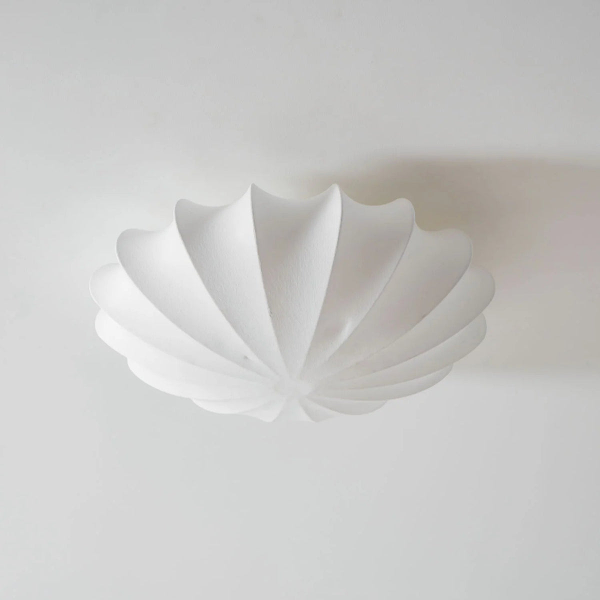 Haze Globe Ceiling Lamp
