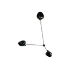 Celestial Curve Ceiling Light