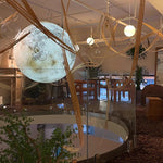 3D Planet Ball Pendant Lamp